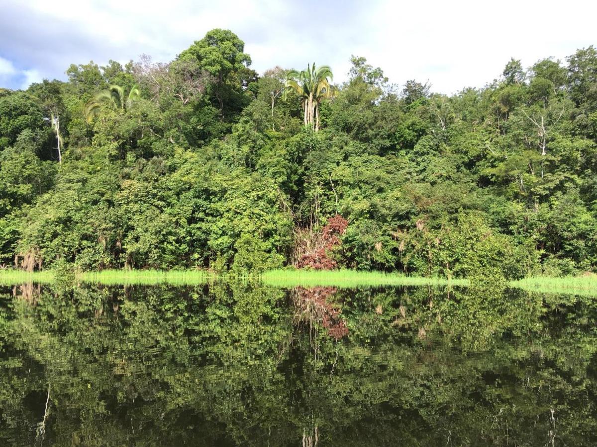 Amazon Arowana Lodge Careiro Esterno foto