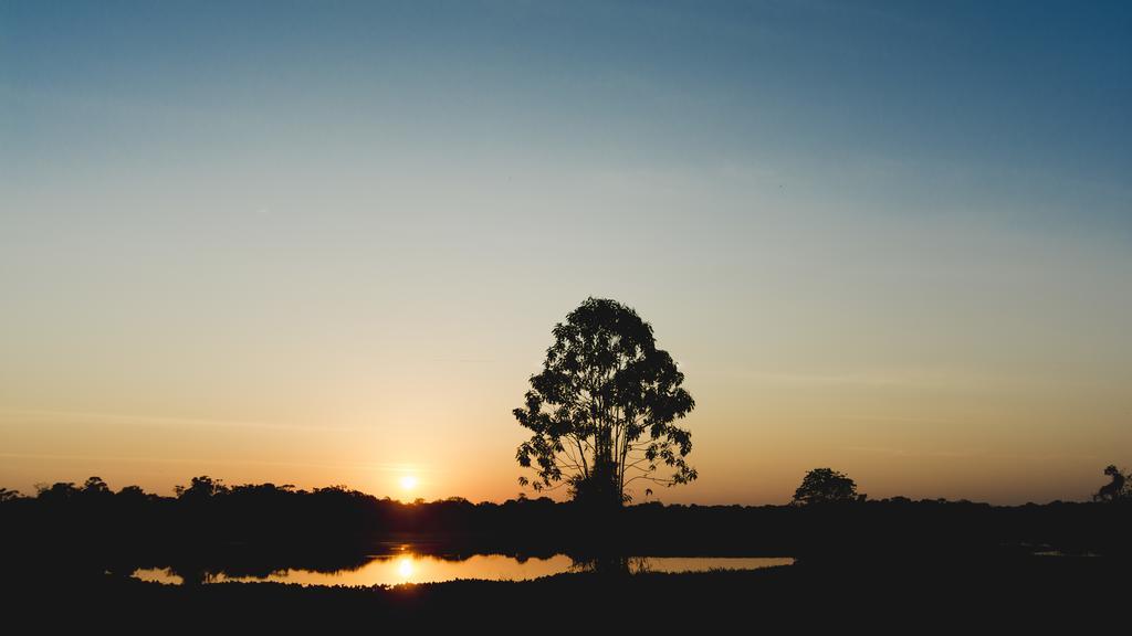 Amazon Arowana Lodge Careiro Esterno foto