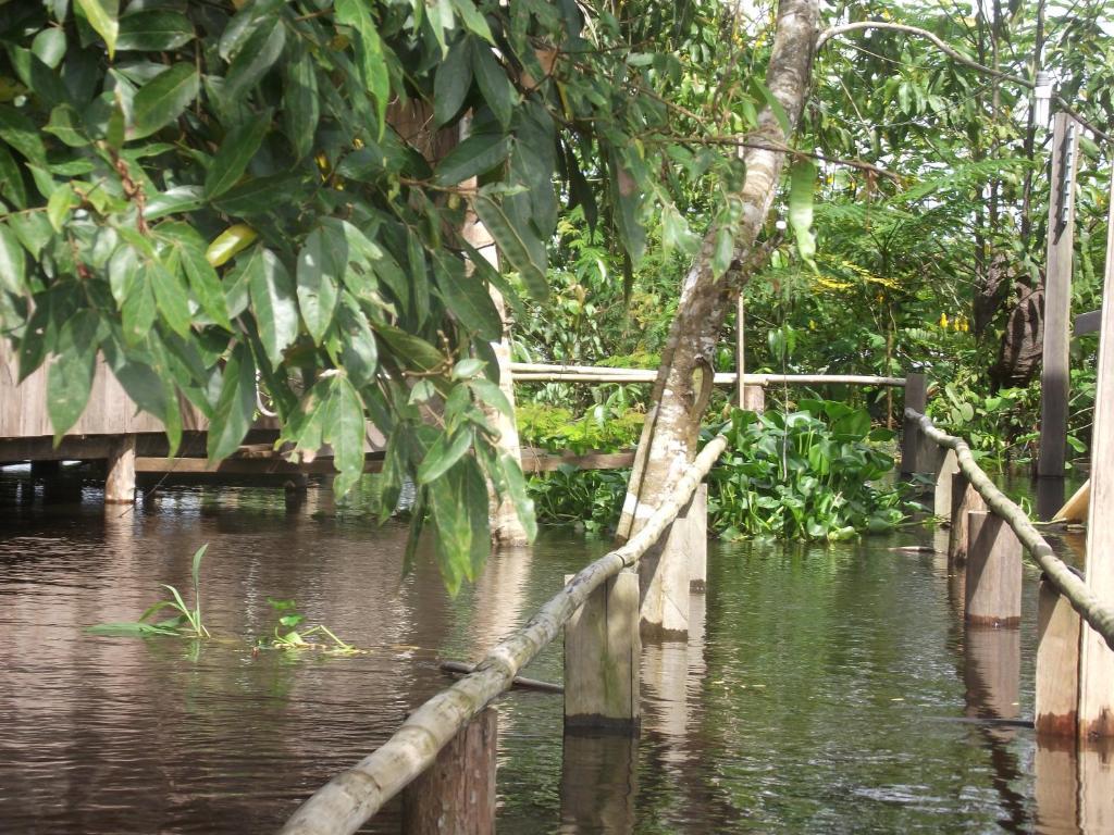Amazon Arowana Lodge Careiro Esterno foto